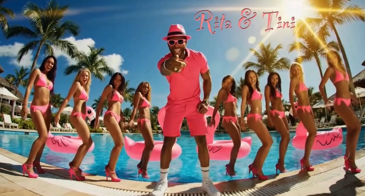 The Horny Flamingo cover art